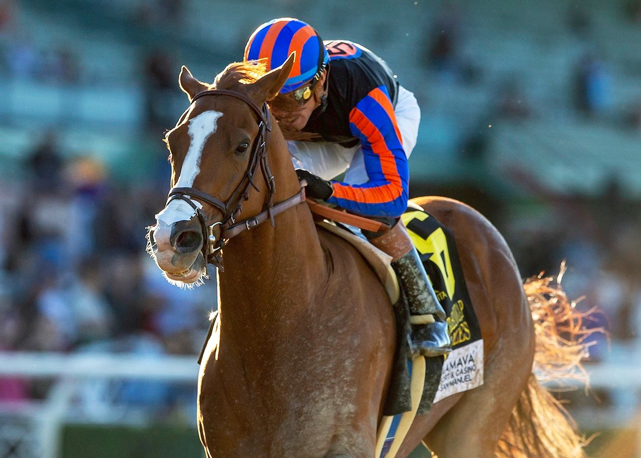British Isles wins the Santa Anita Handicap at Santa Anita.