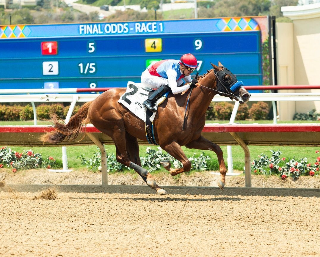 Southwest might go through Baffert stable