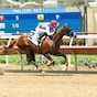 Southwest might go through Baffert stable