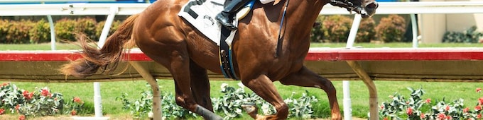 Baffert sends Buetane to Virginia Derby, Bottle of Rouge to Oaks