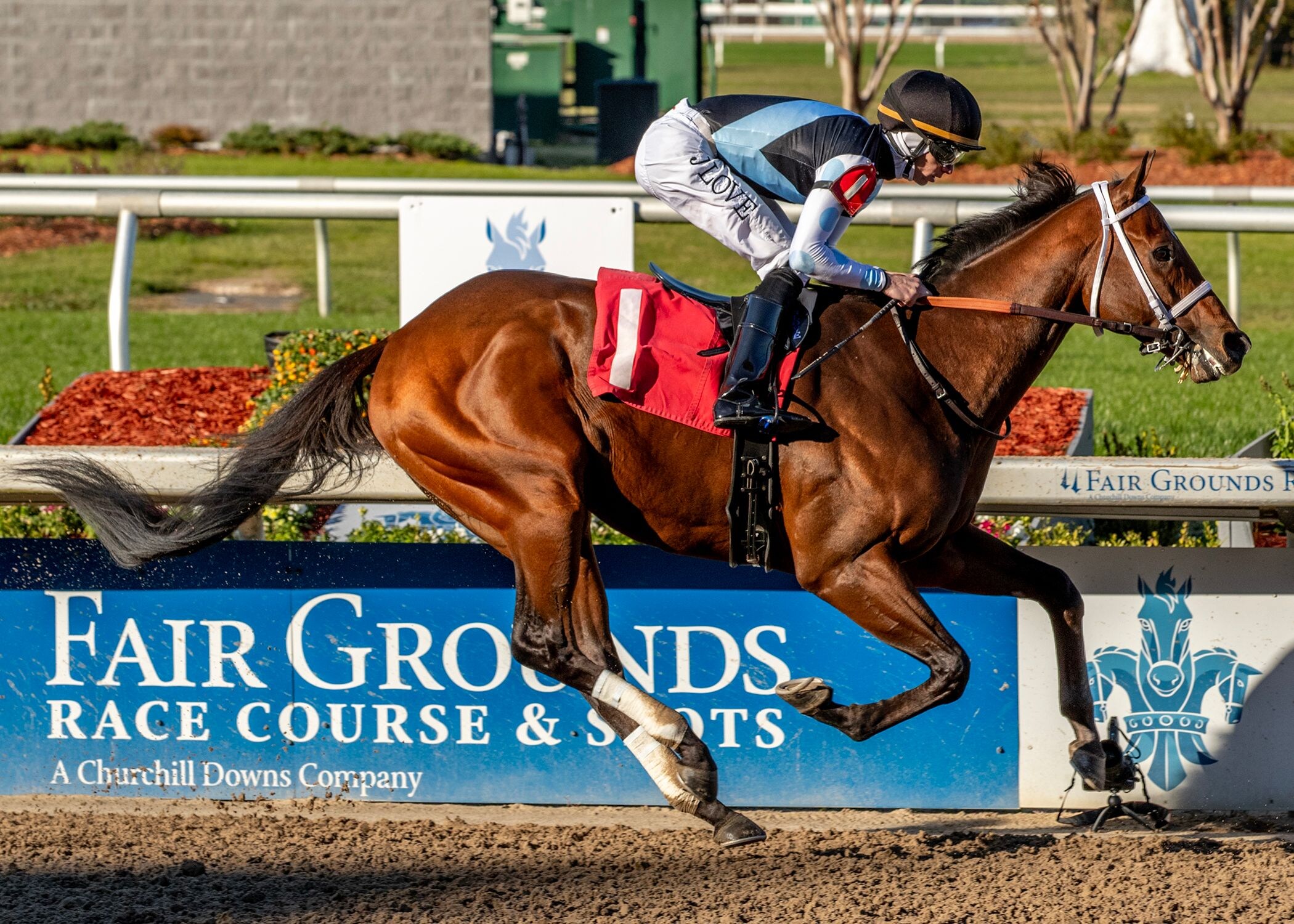 Built winning the Gun Runner S. at Fair Grounds (Photo by Hodges Photography/Lou Hodges Jr.)