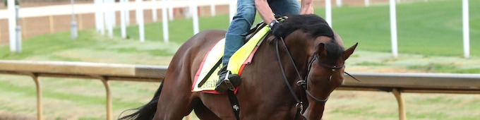 Burnham Square bound for Arlington Million after Chorleywood nailbiter