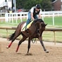 Burnham Square bound for Arlington Million after Chorleywood nailbiter