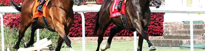 Burnham Square bound for Arlington Million after Chorleywood nailbiter