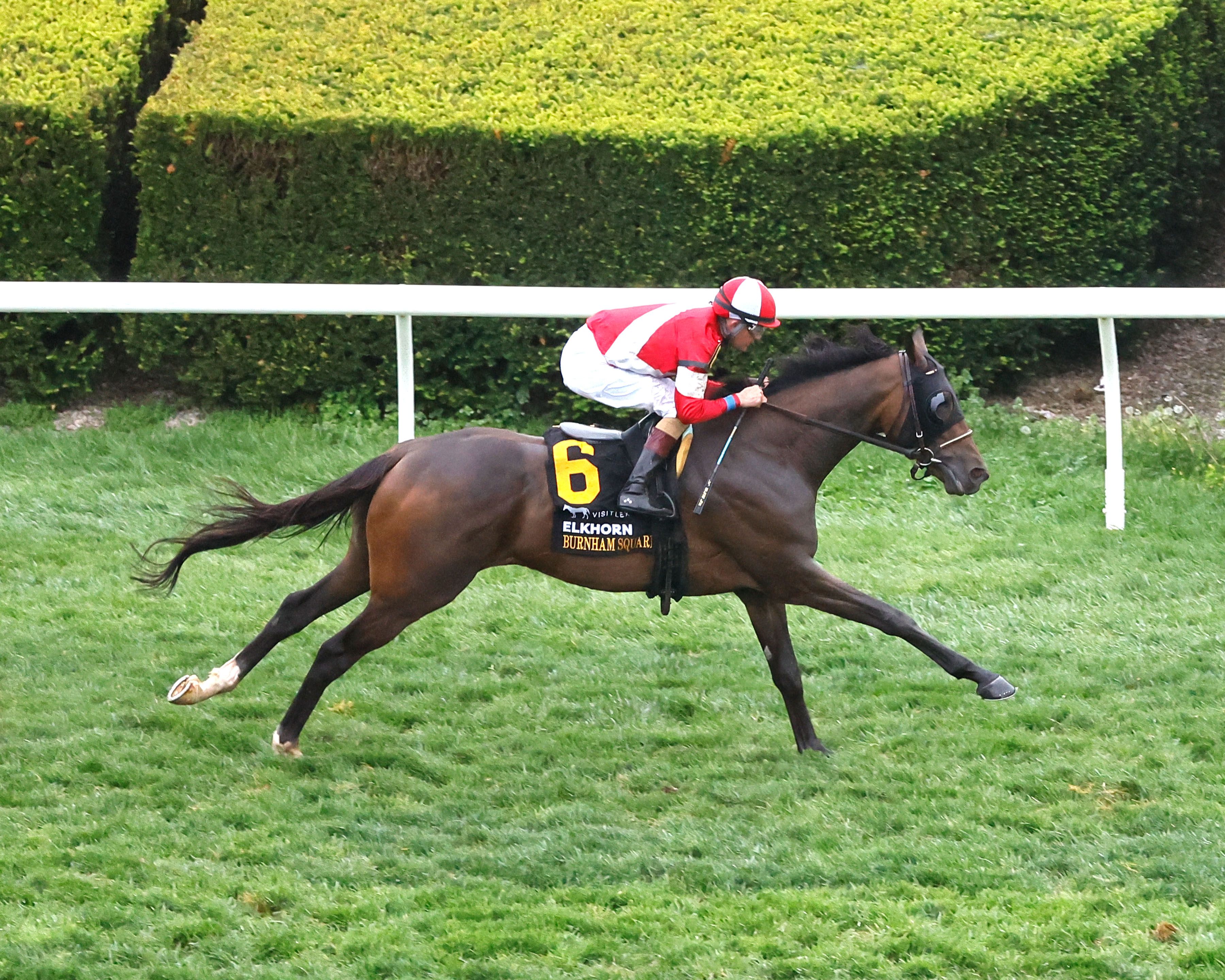 Burnham Square demolished the Elkhorn (G2) at Keeneland