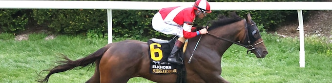 Burnham Square romps in Elkhorn; Stars and Stripes edges Batten Down in Ben Ali