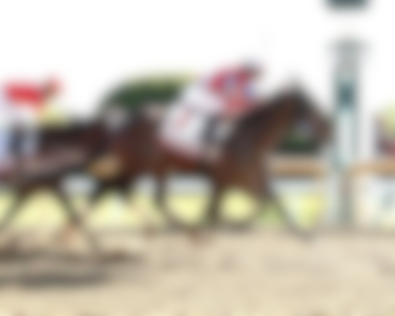 Burnham Square wins the Blue Grass. 