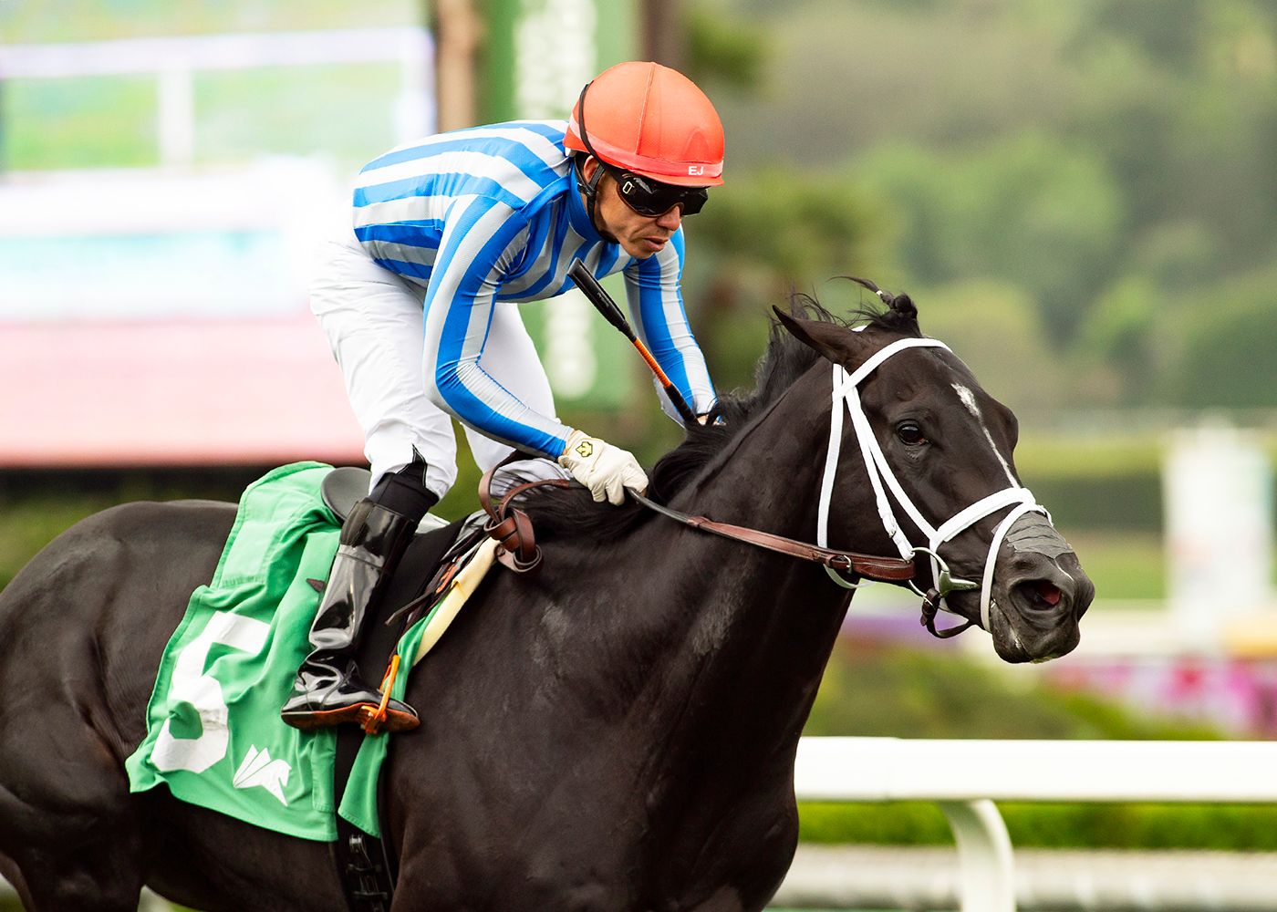 Bust Out wins the Cinema S. at Santa Anita