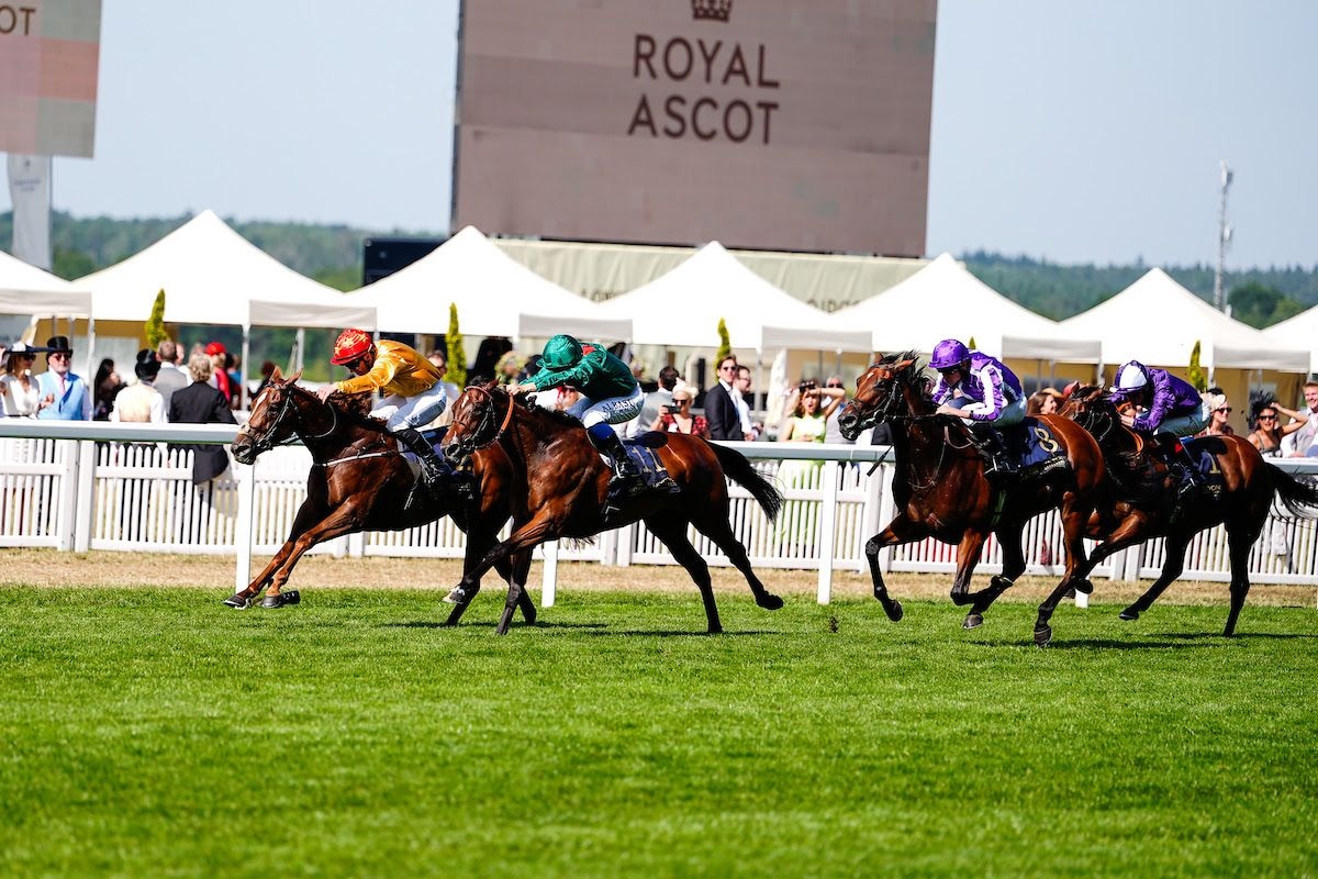 Royal Ascot Day 4 recap: Time for Sandals, Cercene surprise
