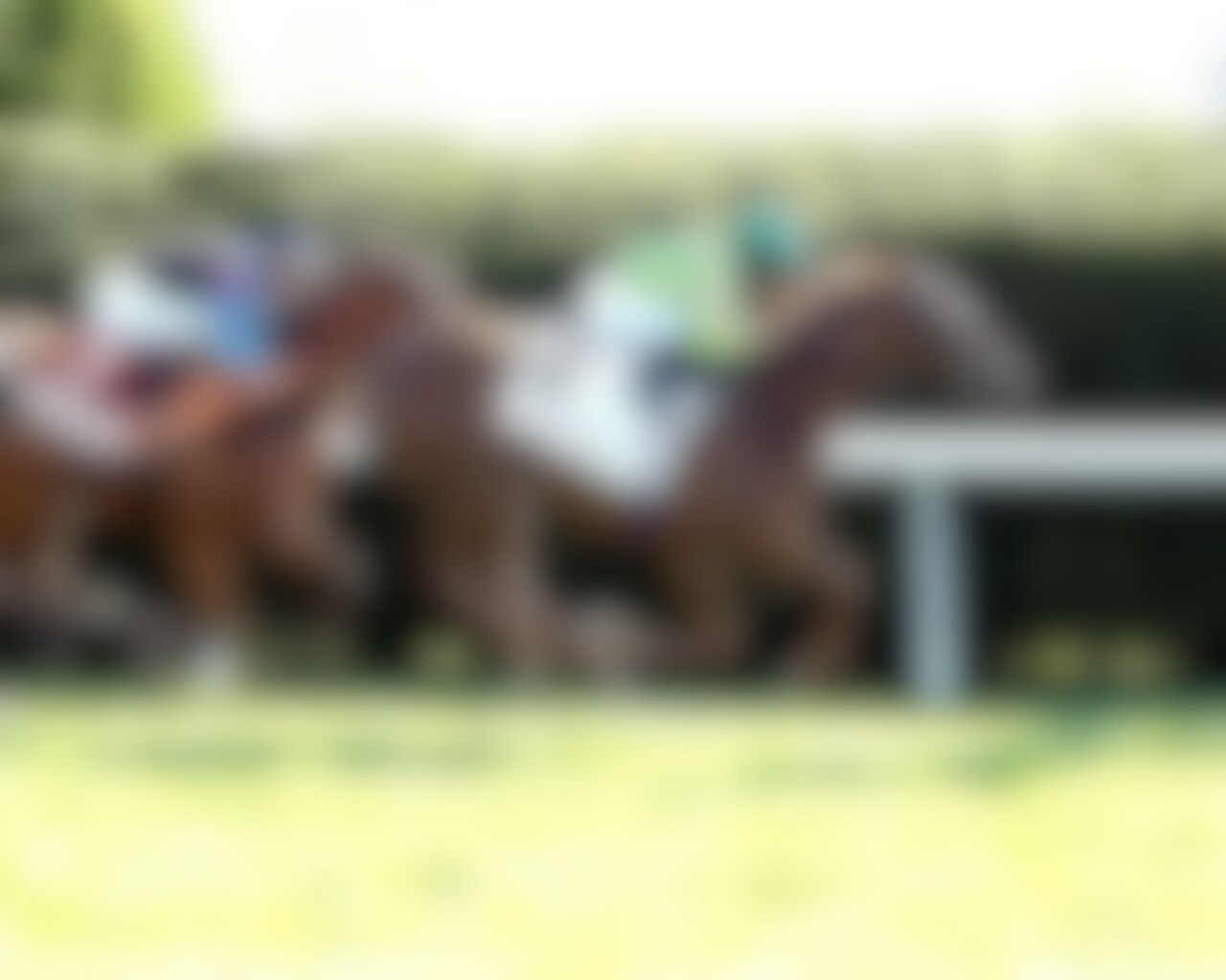 Choisya wins the Jenny Wiley at Keeneland. 