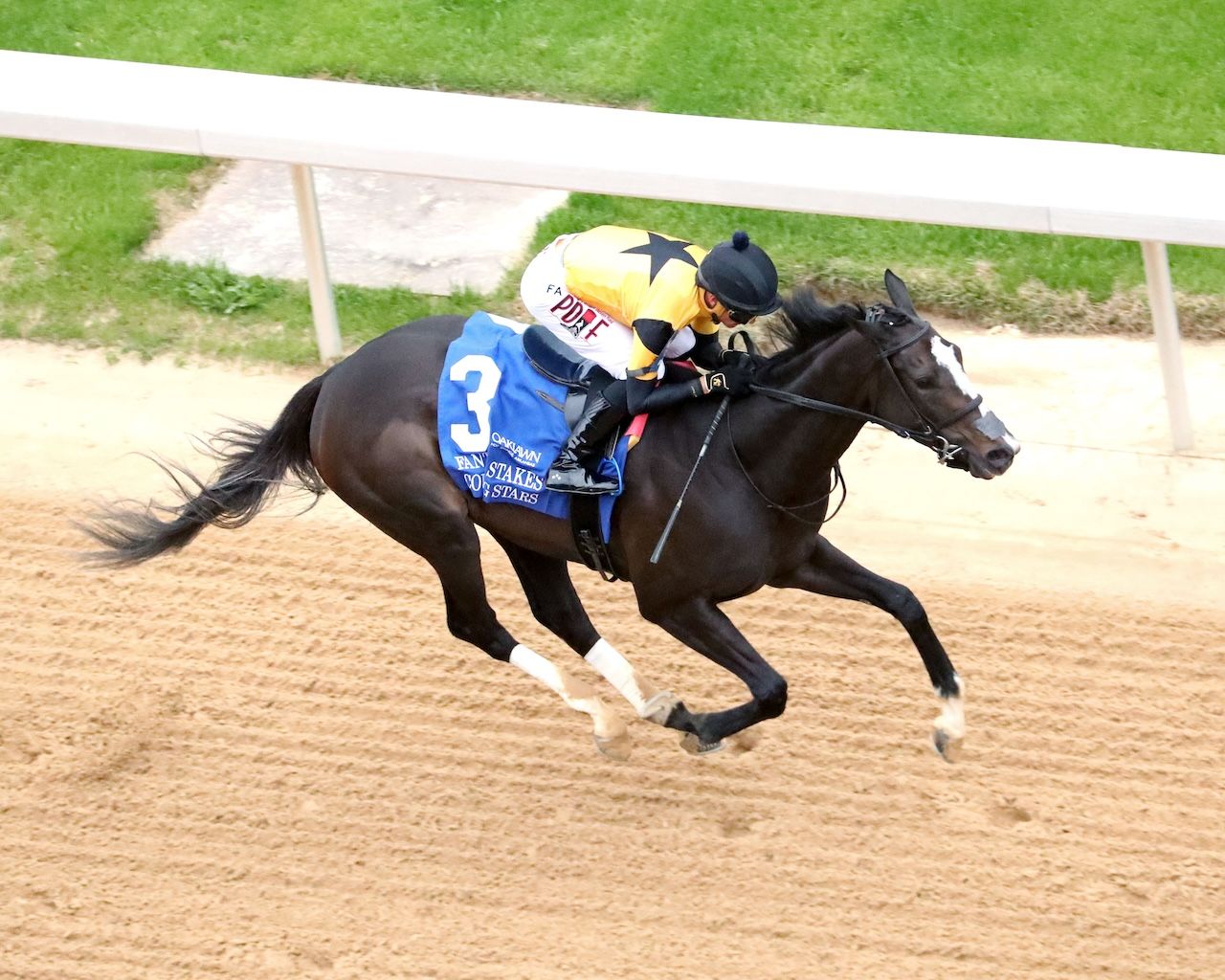 Counting Stars wins the Fantasy Stakes at Oaklawn.