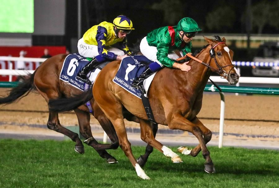 Calandagan showcased his turn of foot in the Dubai Sheema Classic (G1)