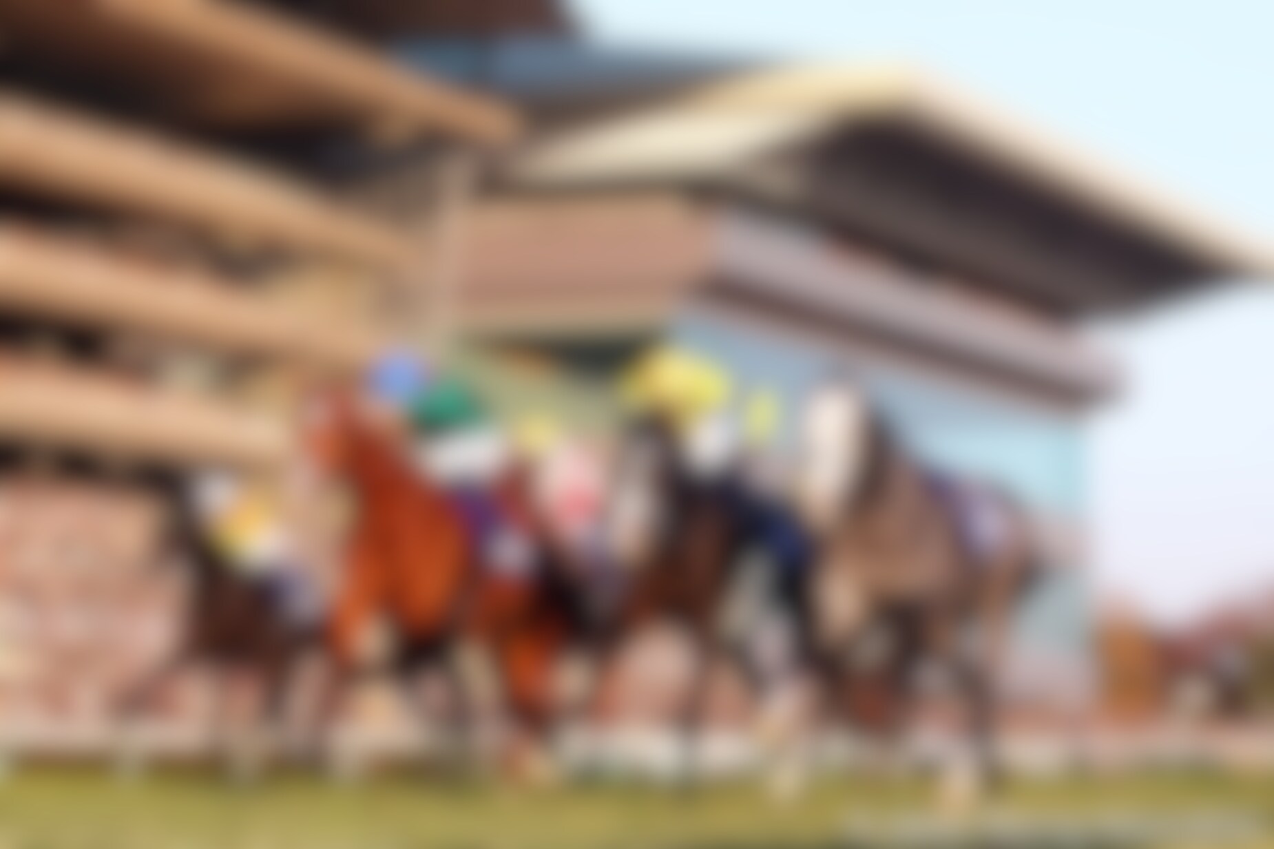 Calandagan edges Masquerade Ball and the riderless Admire Terra in the Japan Cup (G1)