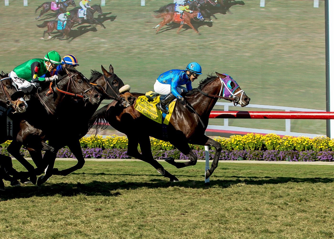 Call Sign Seven sprang a $139 shock in the Seabiscuit H. (G2)