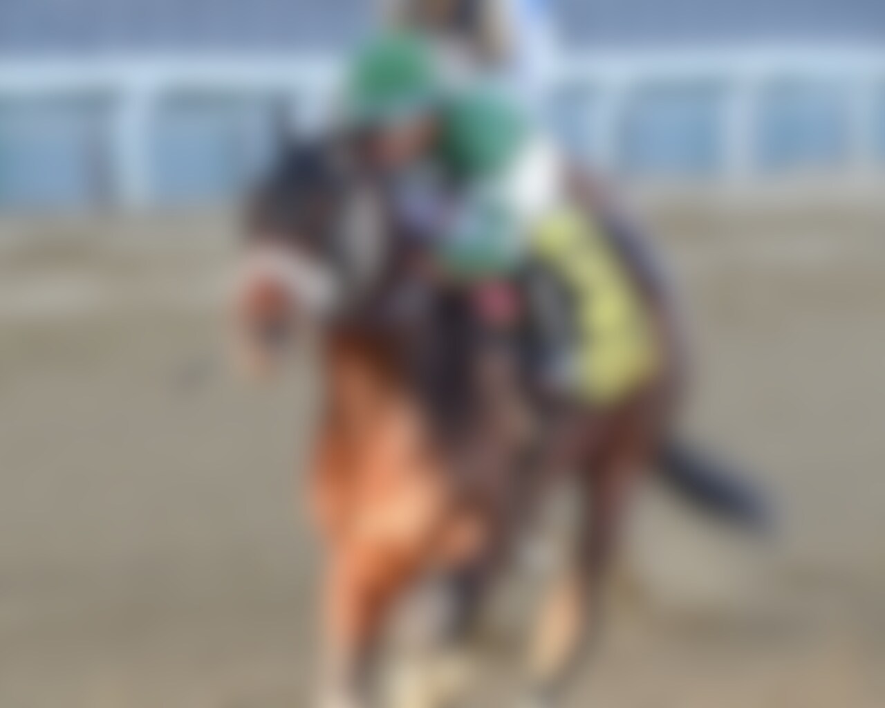 Captain Cook winning the Withers S. at Aqueduct (Photo by Coglianese Photos/Joe Labozzetta)