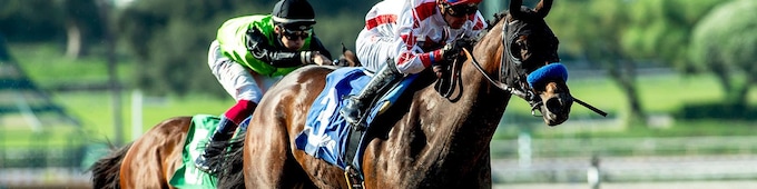 Cavalieri defies poor start in Zenyatta; Imagination upsets SA Sprint Championship