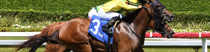 Celtic Dispute outduels Skara Brae in Royal Palm Juvenile, earns Royal Ascot ticket