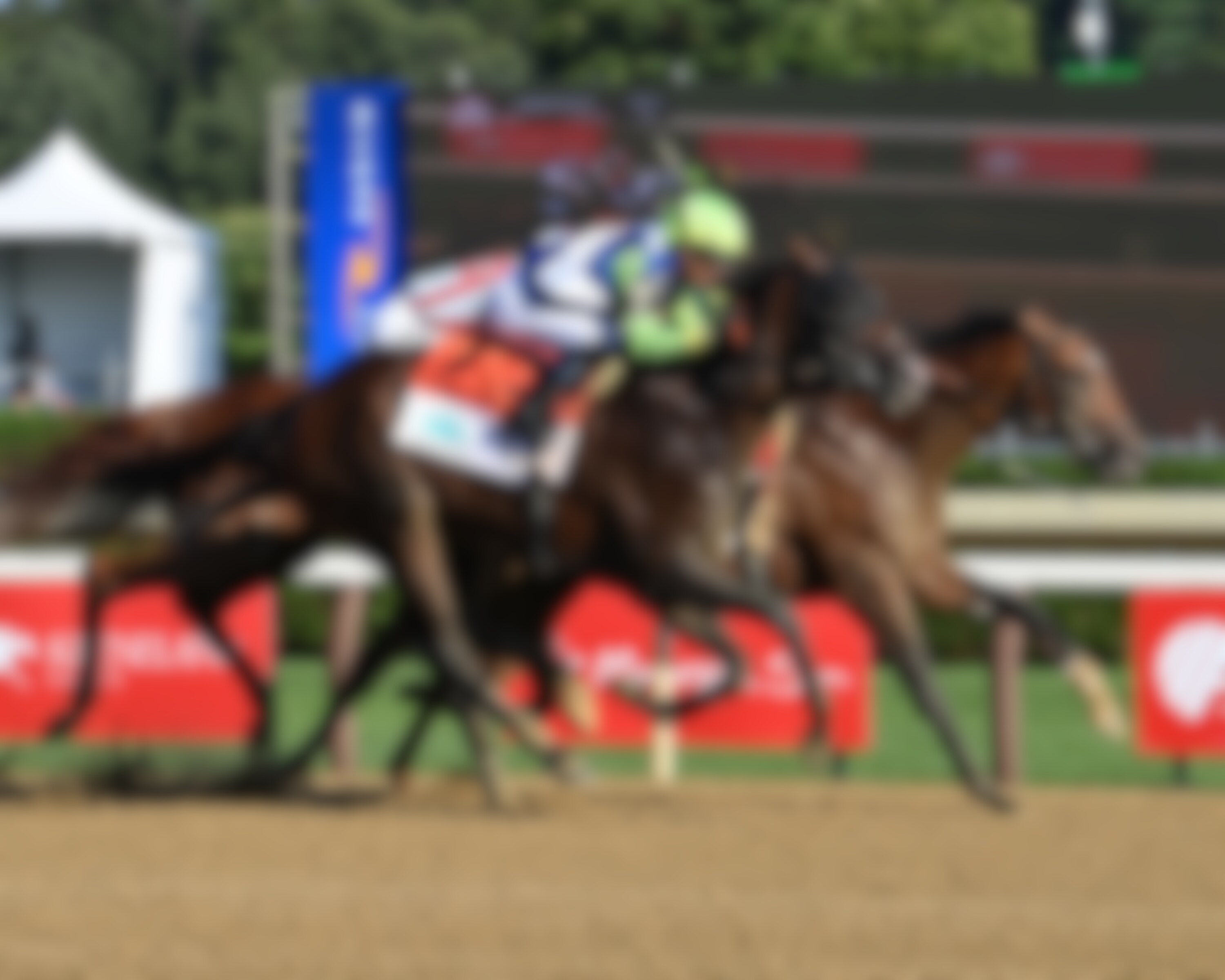 Chancer McPatrick battles to victory in the Curlin