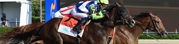 Chancer McPatrick regains winning form, answers distance question in Curlin