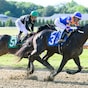 Chip Honcho the one to catch in Jim Dandy
