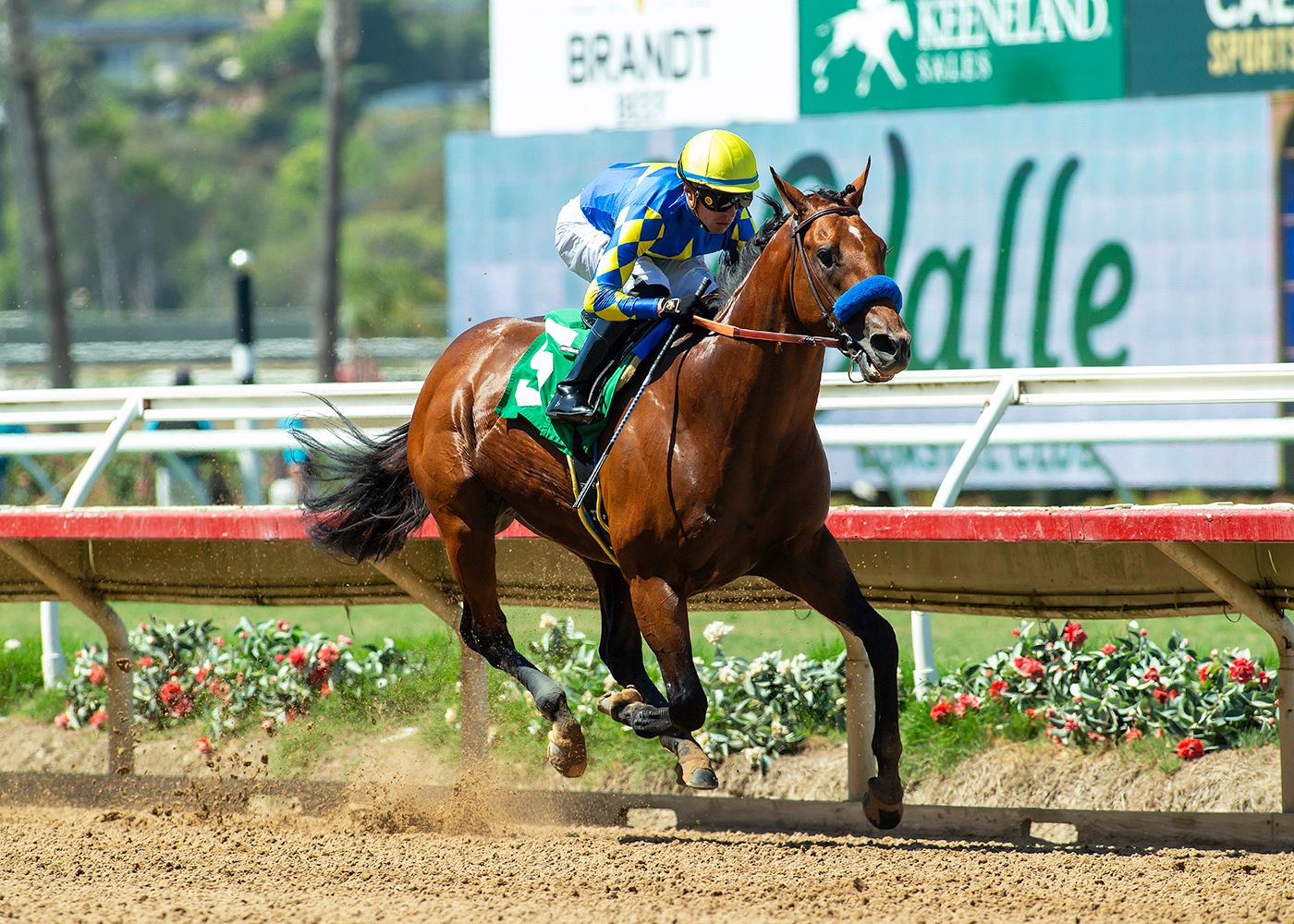 Citizen Bull didn't break a sweat beating two rivals in the Shared Belief