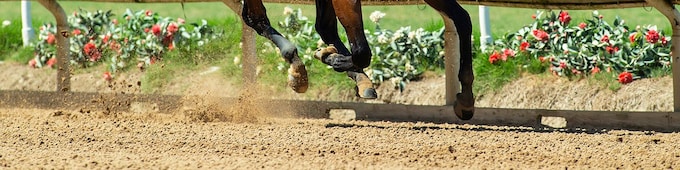 Citizen Bull coasts in Shared Belief; The Padre too good in Del Mar Derby