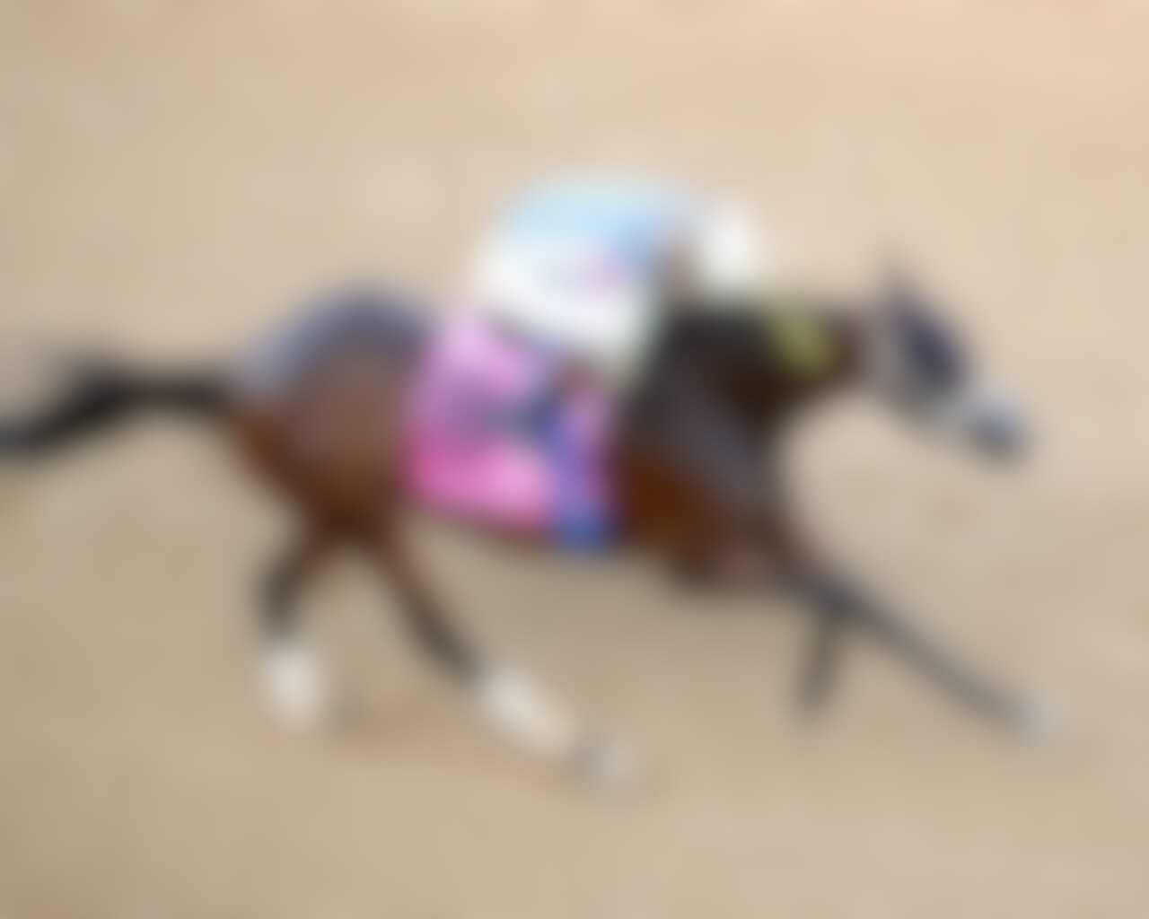 Claret Beret wins the Apple Blossom at Keeneland.