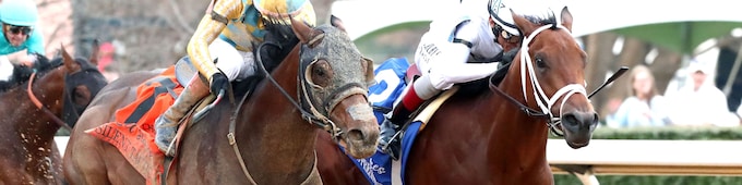 Class President, Explora gallant in Rebel, Honeybee wins