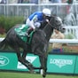 Classic Q holds on in Churchill Distaff Turf Mile