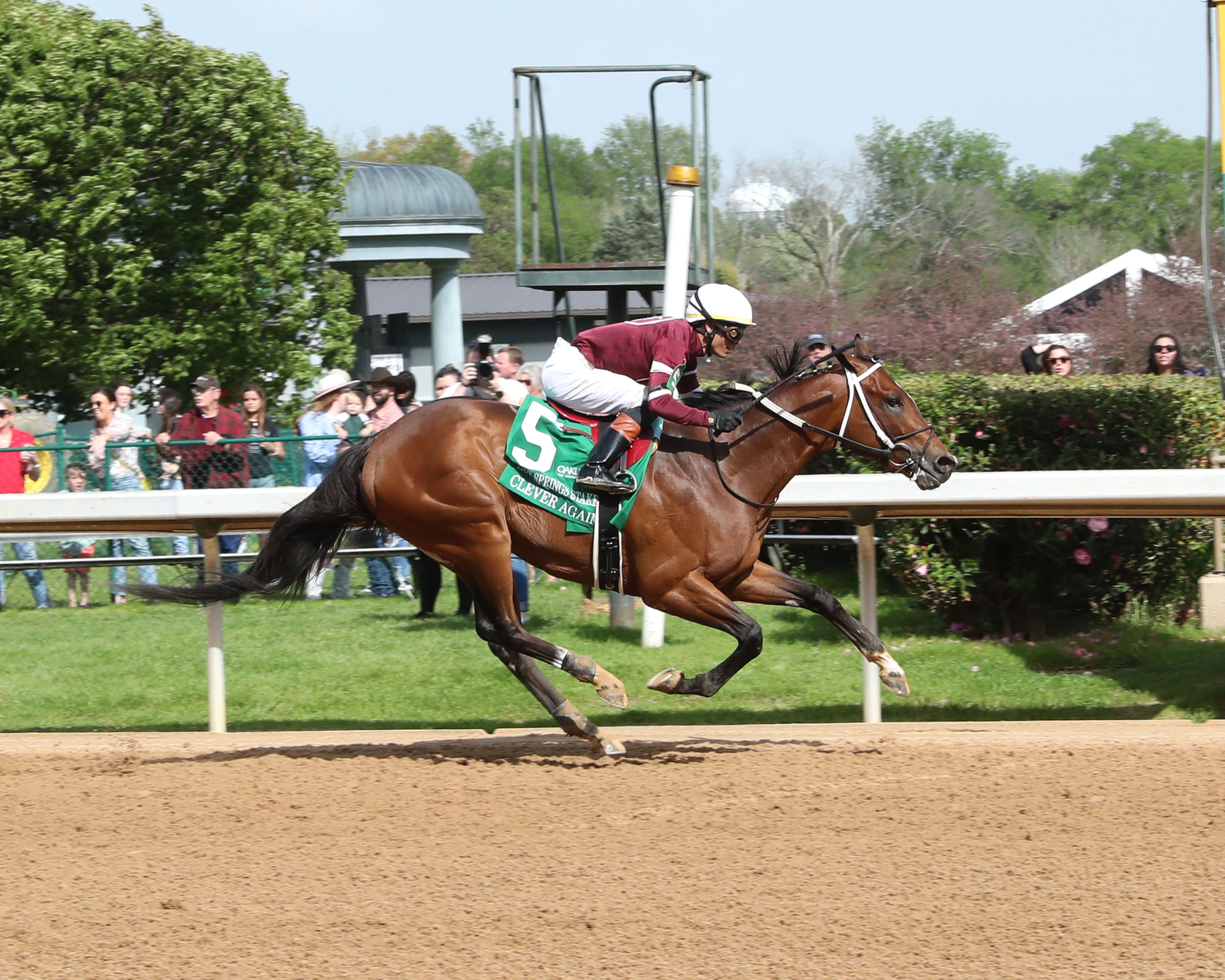 Clever Again romps in the Hot Springs