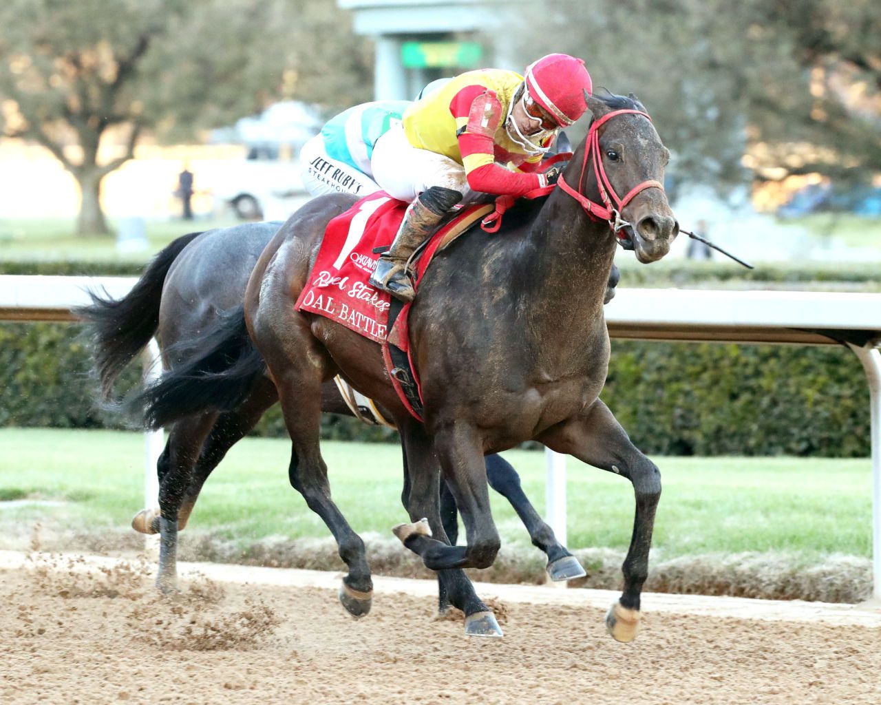 Coal Battle wins the Rebel