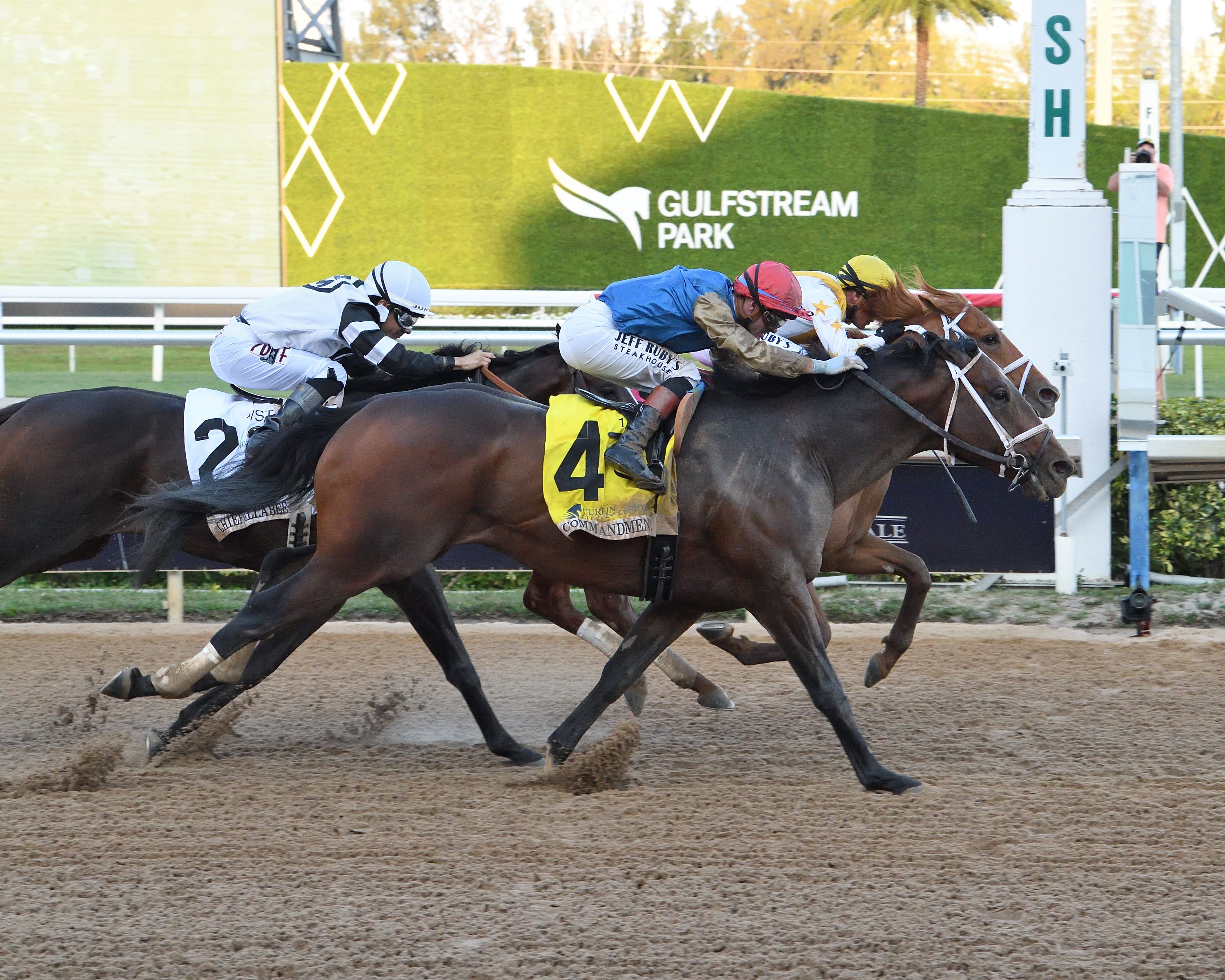 Commandment wins the Florida Derby at Gulfstream Park.