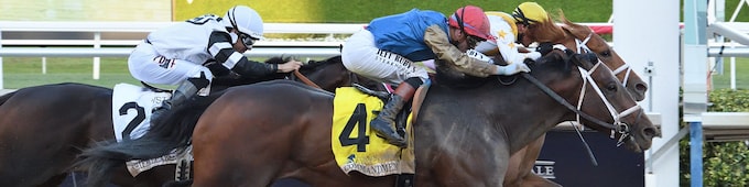 Commandment edges The Puma in Florida Derby