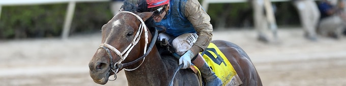 LIVE 2026 Florida Derby horse race day coverage: odds, picks, results & more