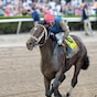 LIVE 2026 Florida Derby horse race day coverage: odds, picks, results & more