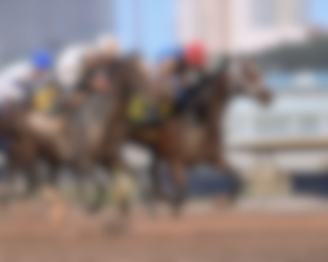 Commandment wins the Fountain of Youth at Gulfstream Park.