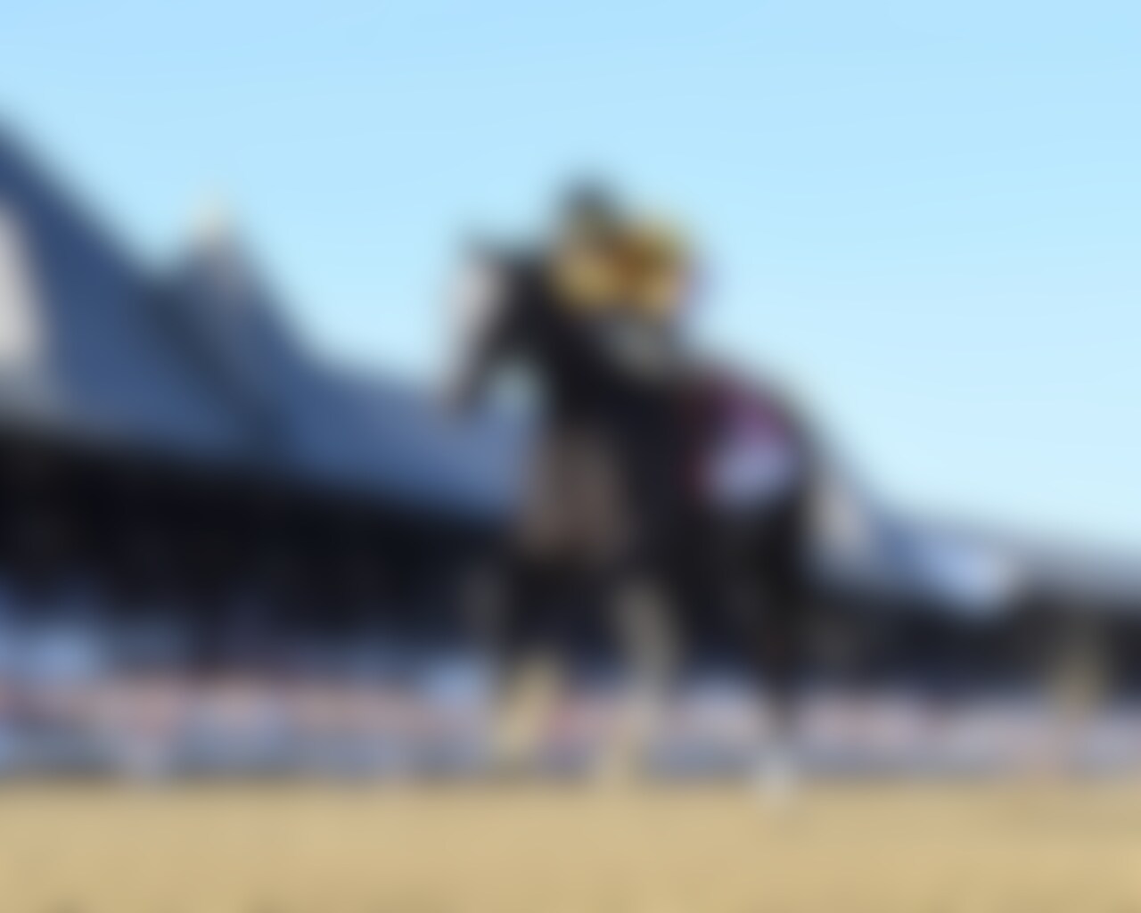 Counting Stars wins the Coaching Club Oaks at Saratoga.