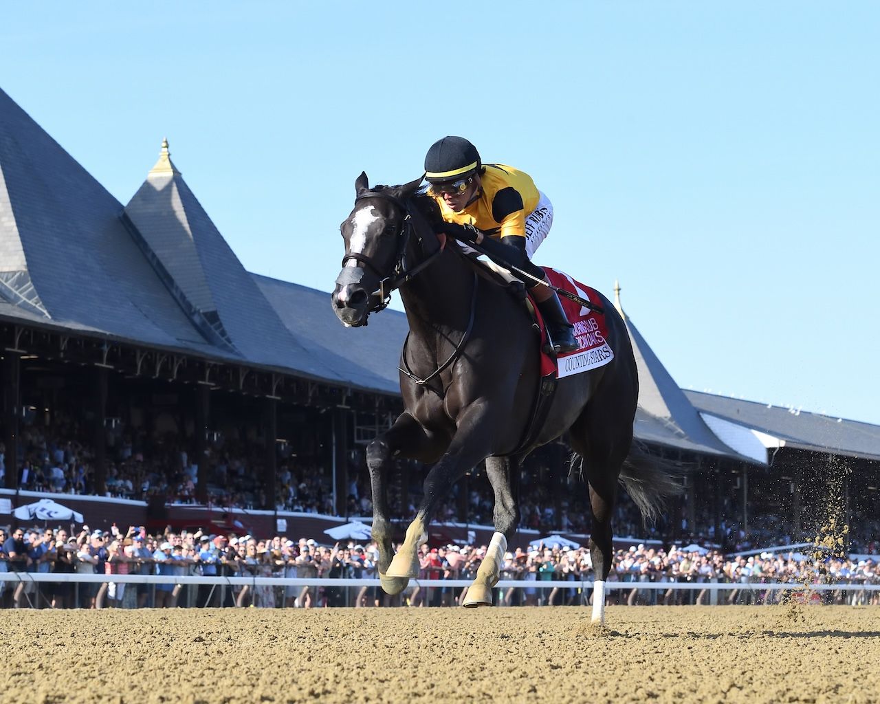 Counting Stars wins the Coaching Club Oaks at Saratoga.