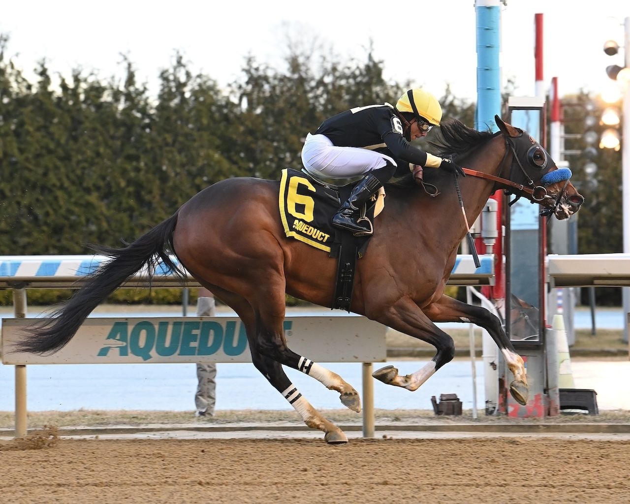 Cyclone State winning the Jerome S. at Aqueduct. (Photo by Coglianese Photos)