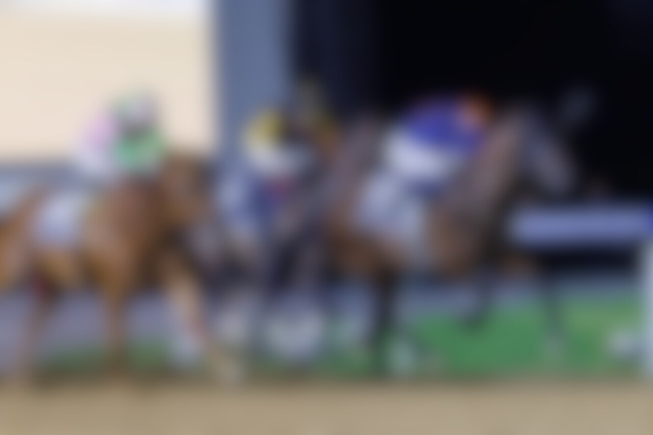 Dark Saffron wins the 2025 Dubai Golden Shaheen (G1) at Meydan