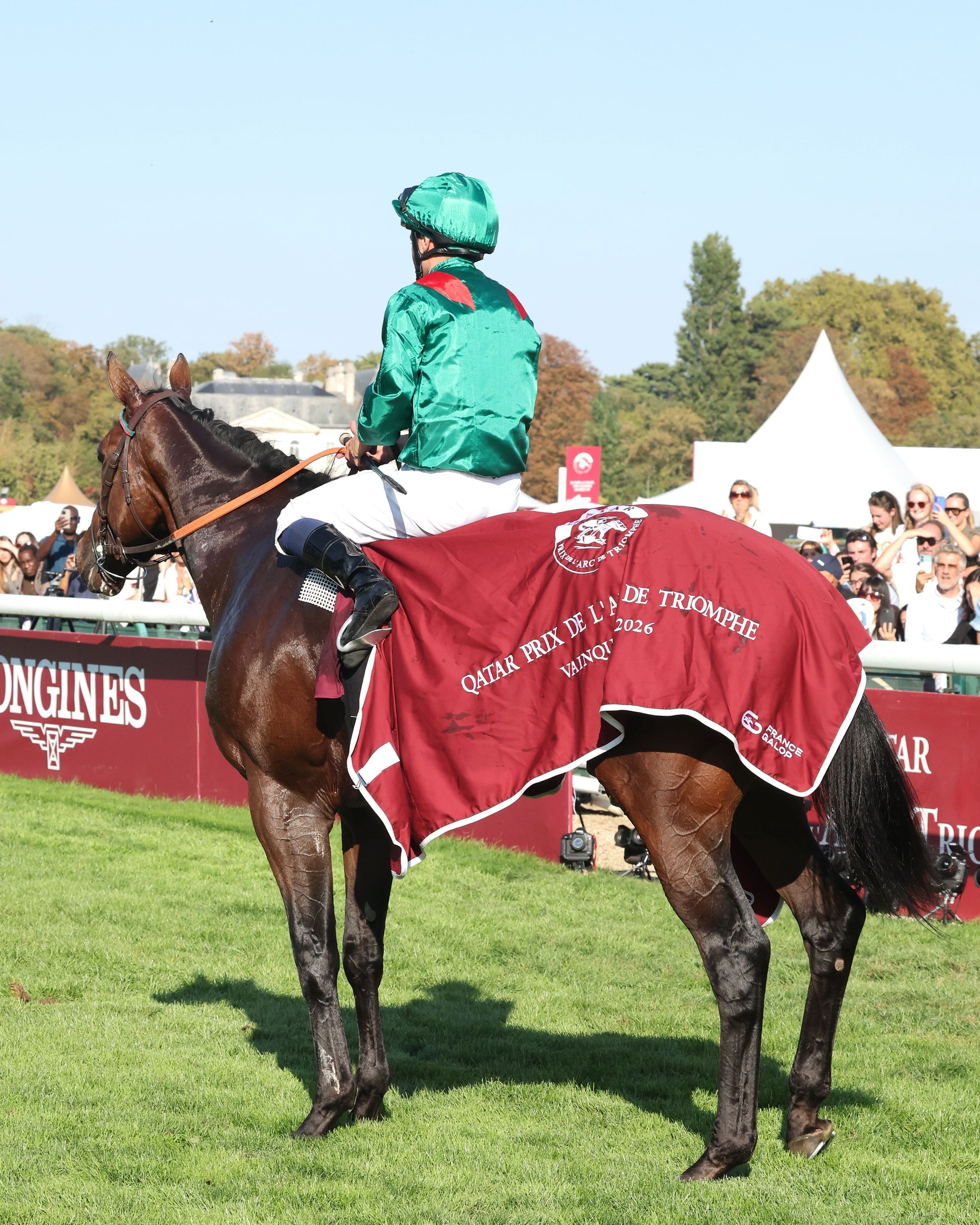 Daryz draped in the Arc winner's blanket