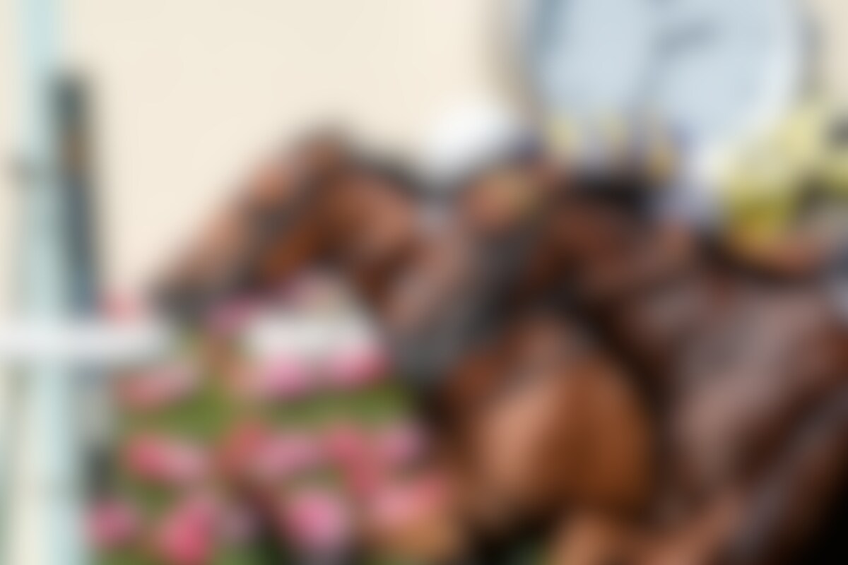 Docklands winning the Queen Anne (G1) at Royal Ascot