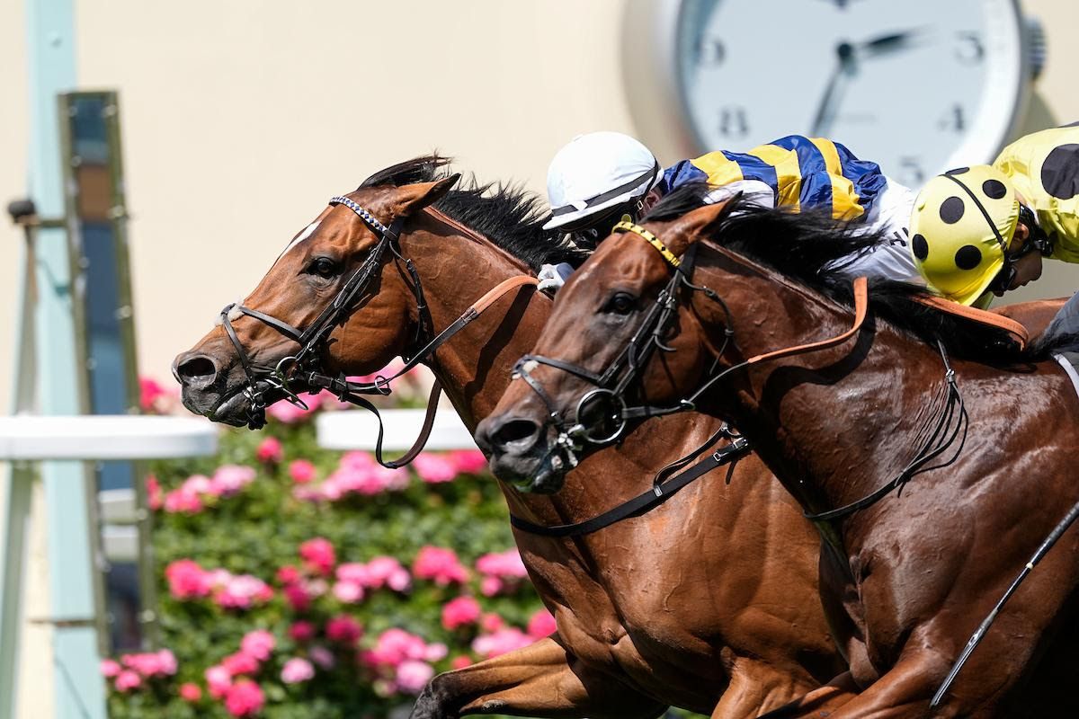 Docklands winning the Queen Anne (G1) at Royal Ascot