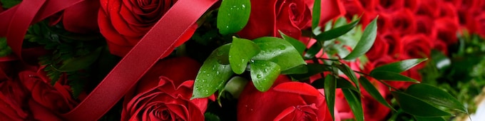 2026 Kentucky Derby: Where the Value Hides for Horseplayers and Bettors