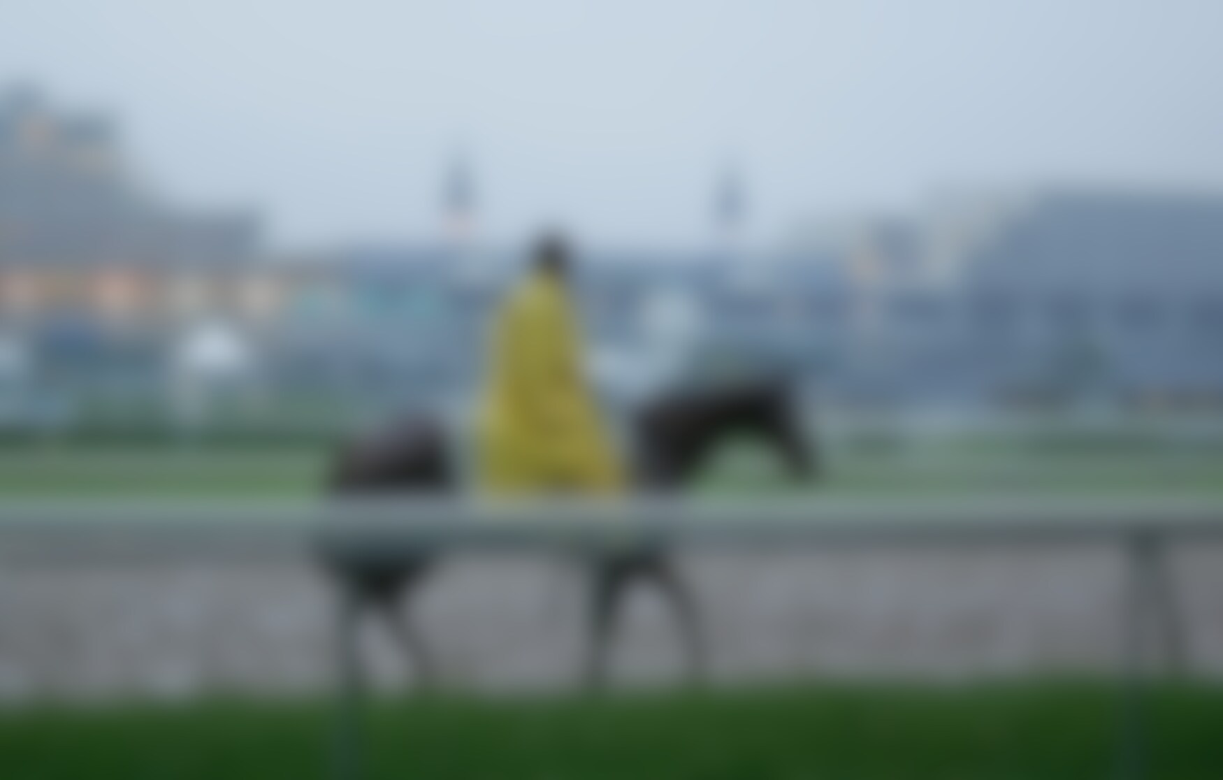 Hall of Fame trainer D. Wayne Lukas (Horsephotos.com)