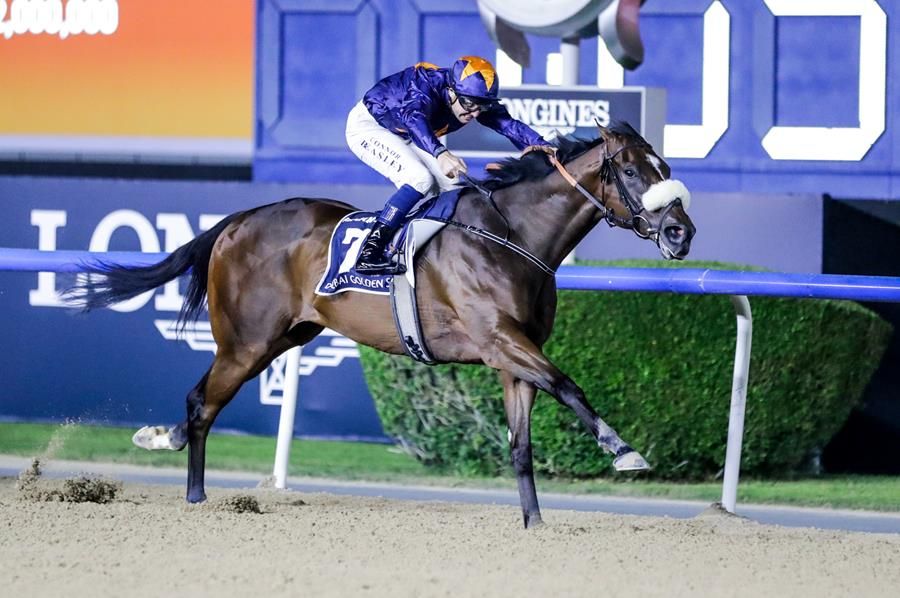 Dark Saffron repeats in the 2026 Dubai Golden Shaheen (G1)