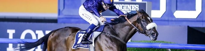 Dark Saffron repeats in Dubai Golden Shaheen