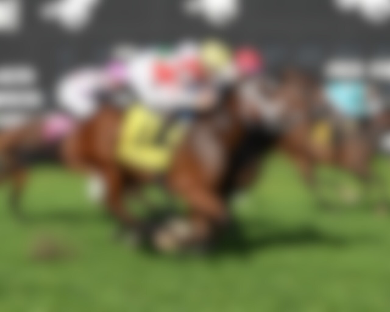 Destino D'Oro wins the Hillsborough at Tampa Bay Downs. 