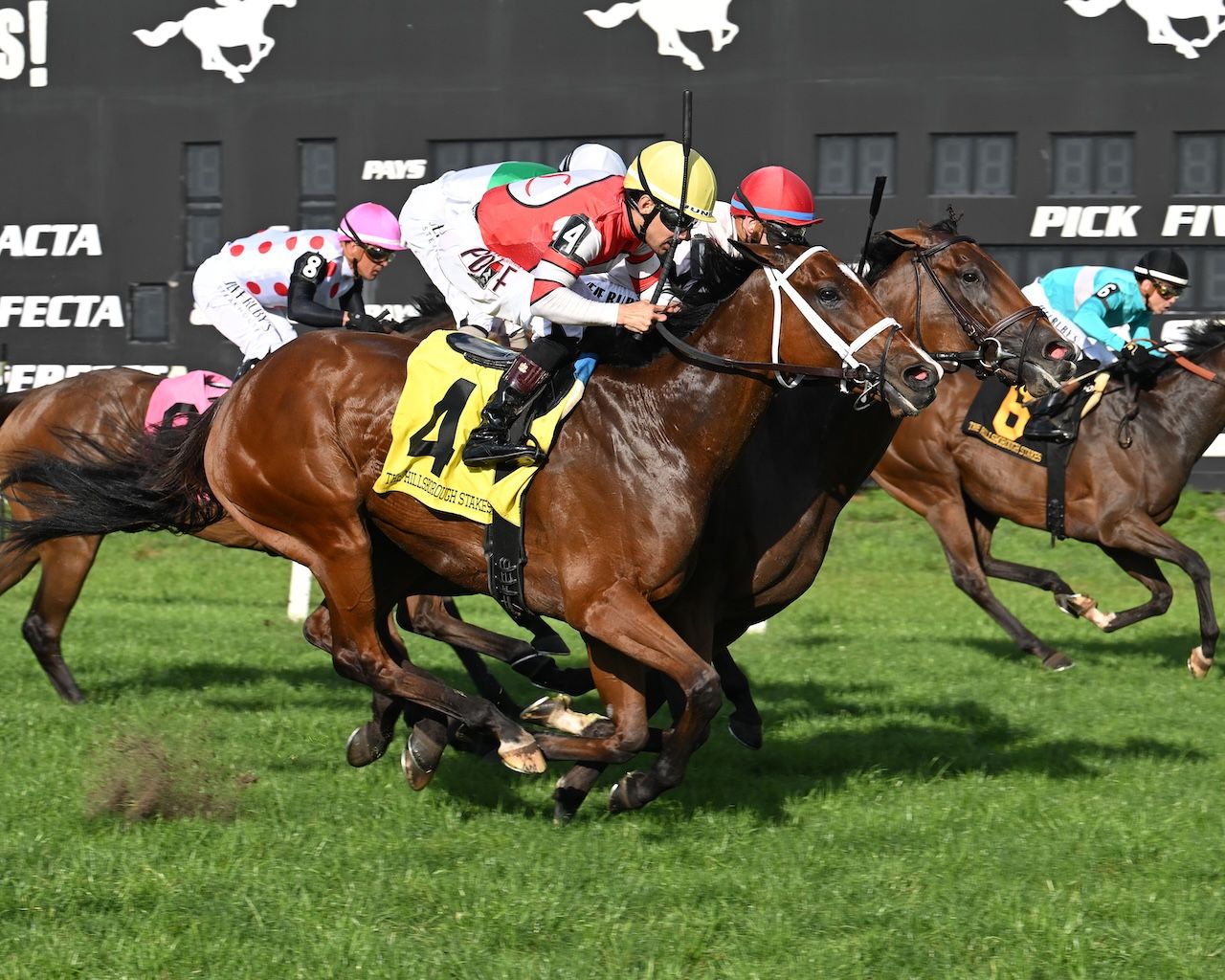 Destino D'Oro wins the Hillsborough at Tampa Bay Downs.