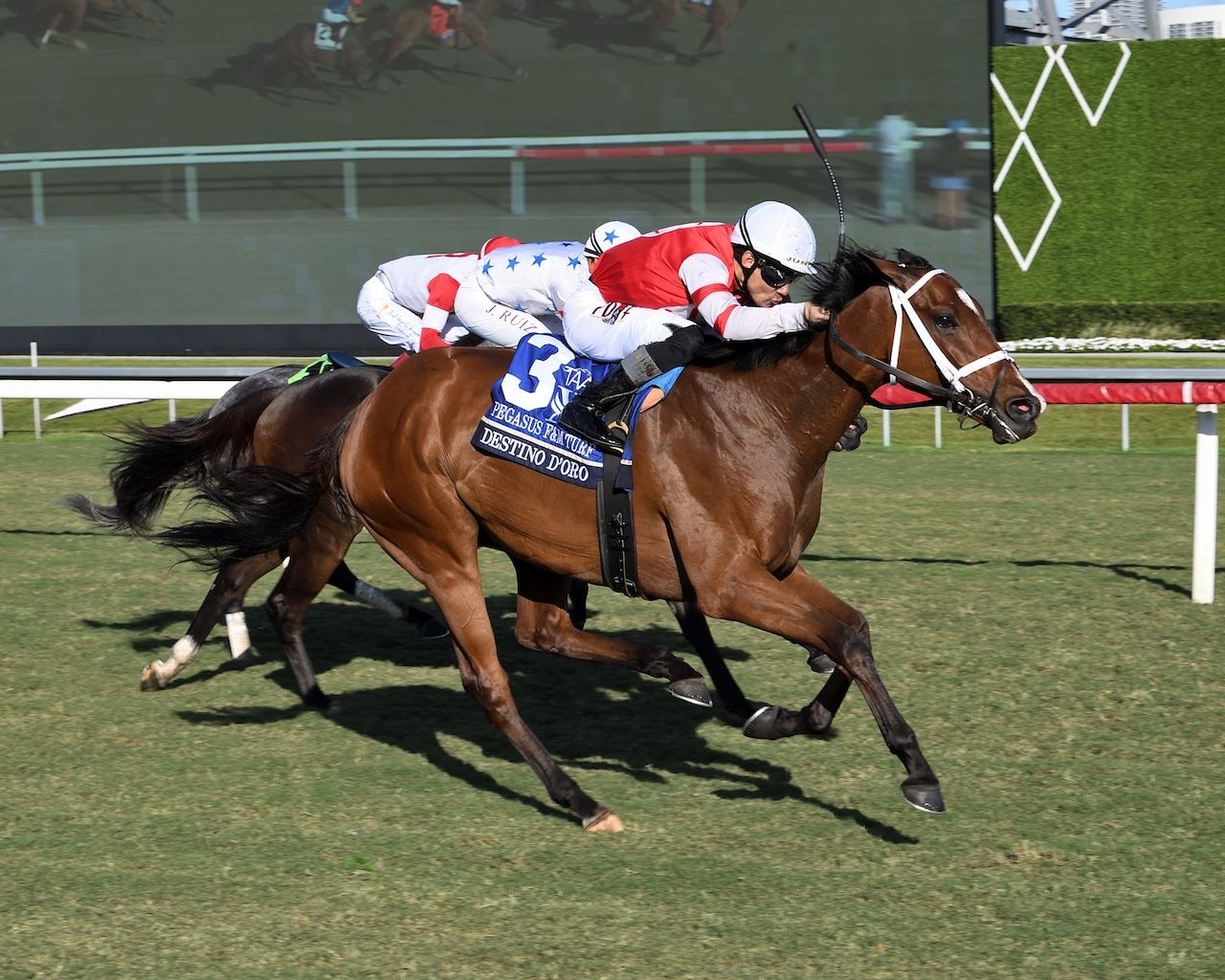 Destino D'Oro wins the Pegasus Filly and Mare Turf at Gulfstream Park.